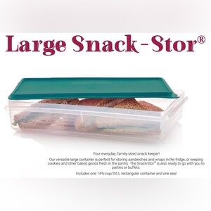 Snack-Stor® Large Container